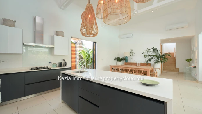 CONTEMPORARY VILLA AND ITS BUcolic GARDEN