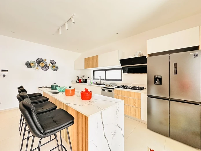 Contemporary Apartment With Rooftop