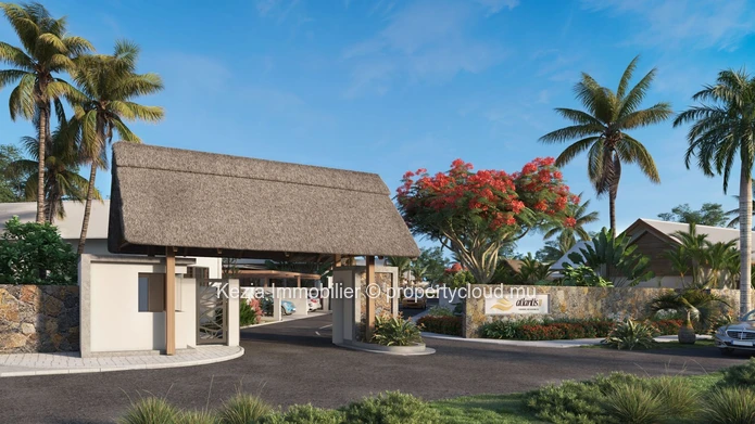 Thatch And Tropical Architecture