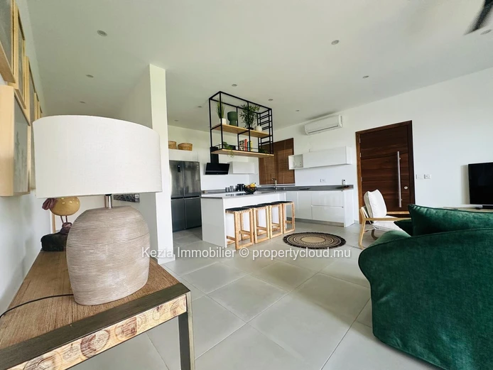 Contemporary Apartment