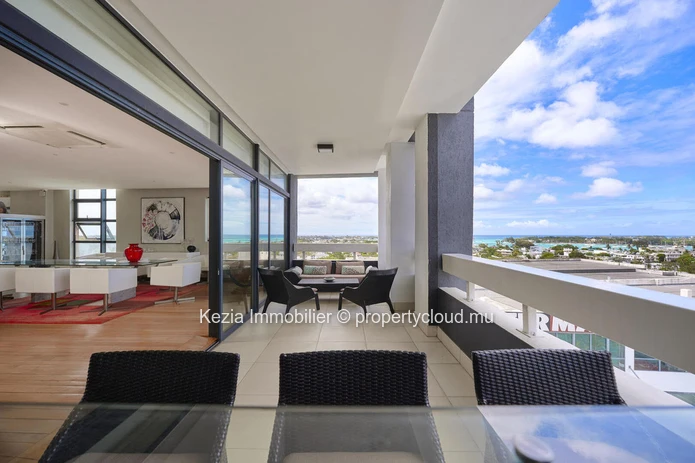 Luxury Penthouse