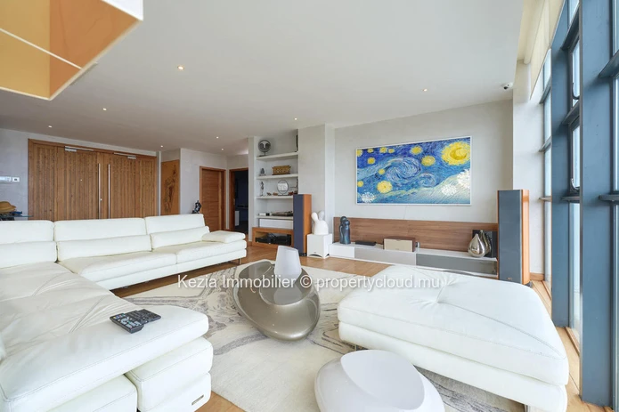 Luxury Penthouse
