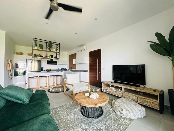 Contemporary Apartment