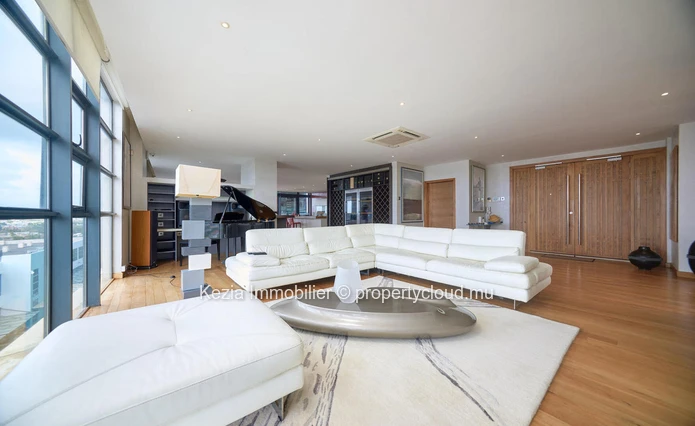 Luxury Penthouse