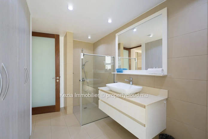 Contemporary Ground Floor Apartment