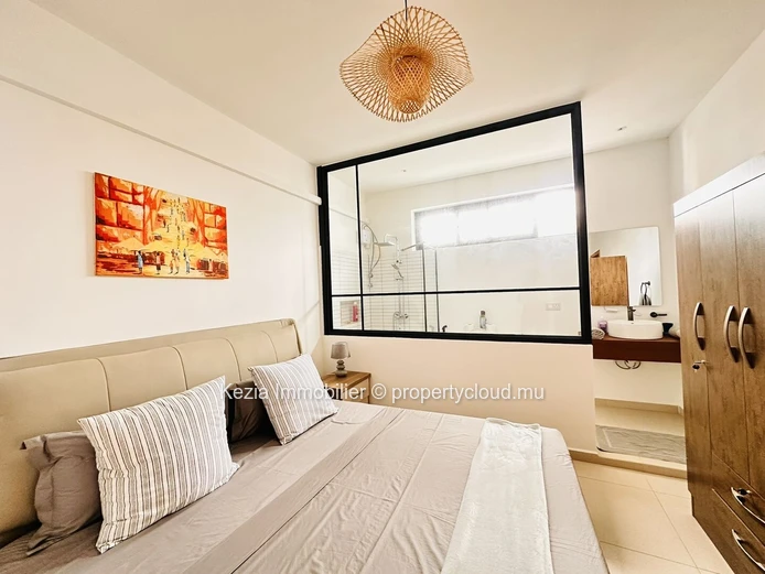 Contemporary Apartment With Rooftop