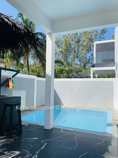 Contemporary Duplex With Private Pool