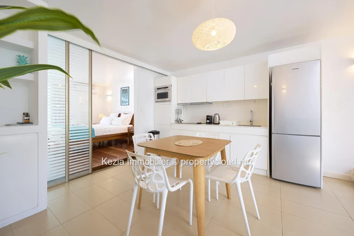 Contemporary Ground Floor Apartment