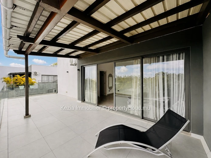 Penthouse Avec Rooftop Privatif