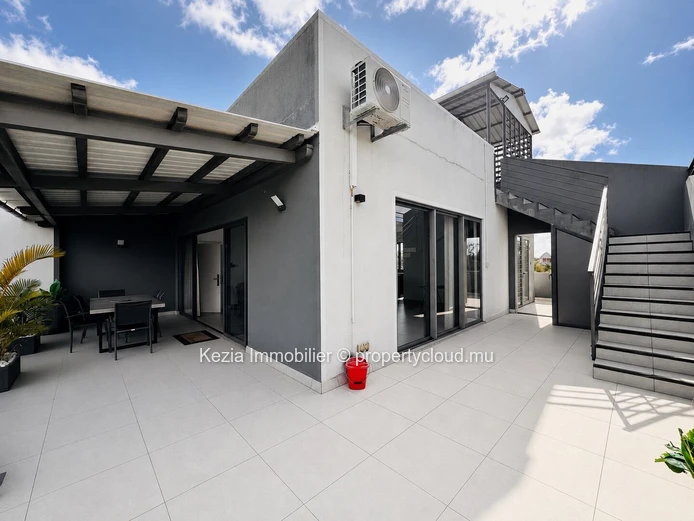 Penthouse Avec Rooftop Privatif