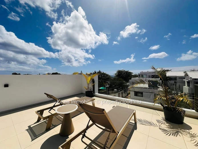Contemporary Apartment With Rooftop